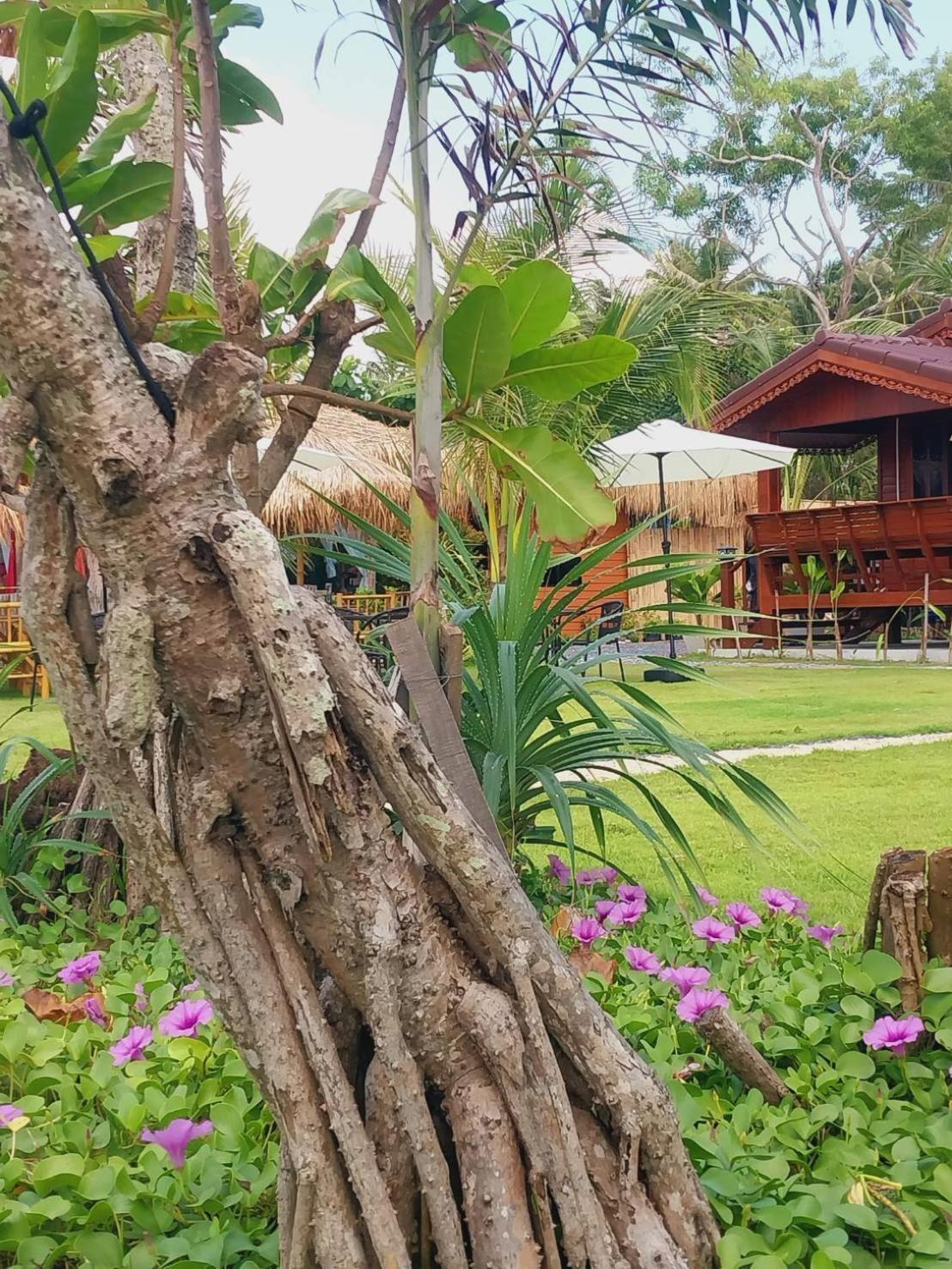 Walden Koh Lanta - Tiny Homes By The Sea Esterno foto